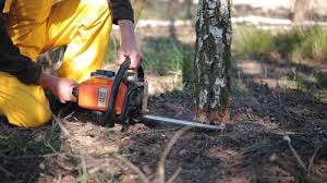 Best Seasonal Cleanup (Spring/Fall)  in Claremont, NC